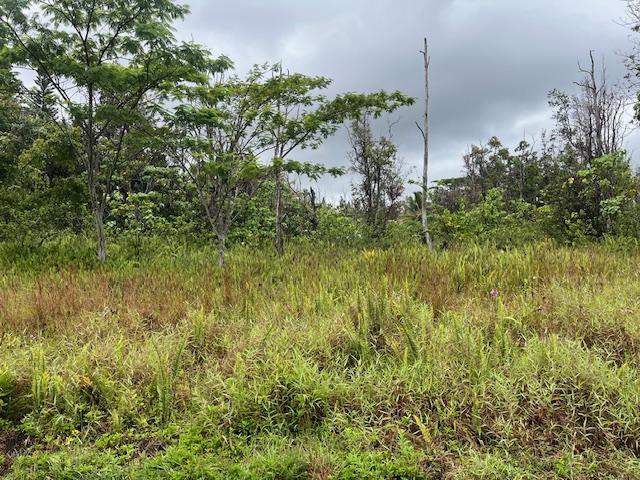 Lawaianui St, Pahoa, HI 96778 - photo 3
