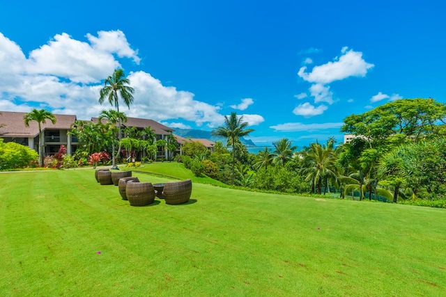 5380 Honoiki Rd Unit F16, Princeville, HI 96722 - view of green lawn