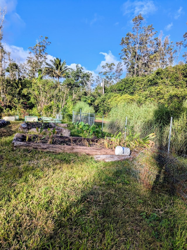 Hilo St, Pahoa, HI 96778