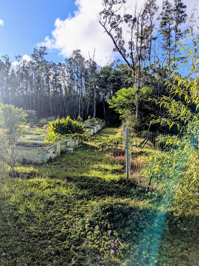 Hilo St, Pahoa, HI 96778