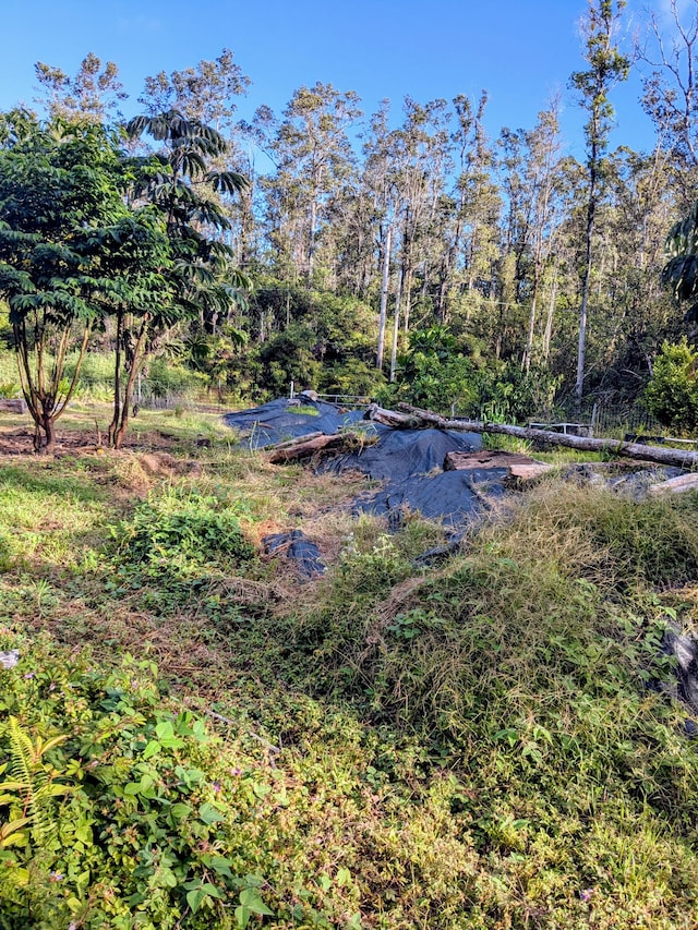 Hilo St, Pahoa, HI 96778