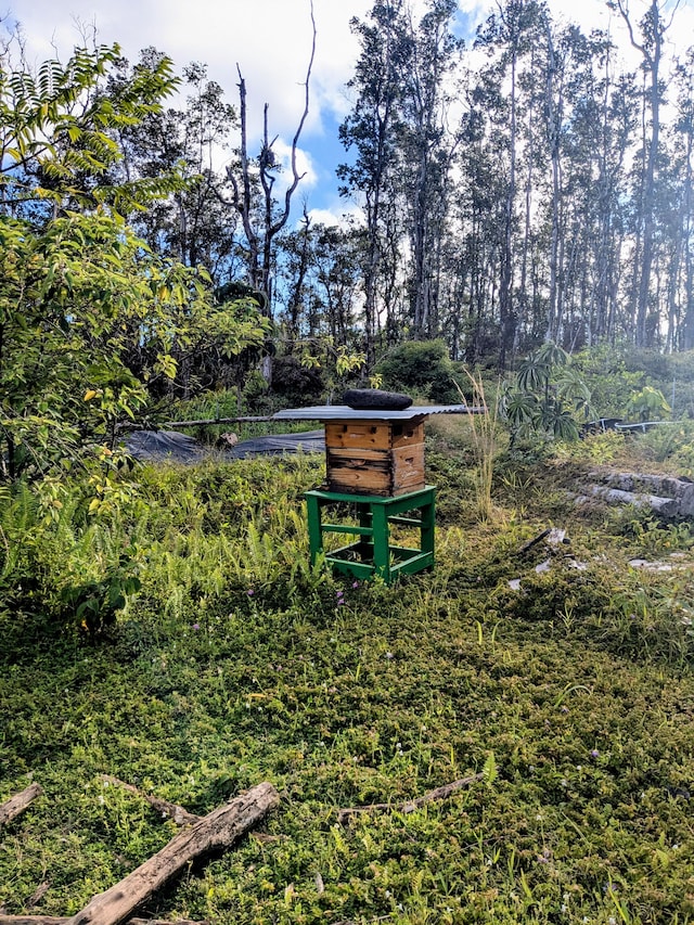 Hilo St, Pahoa, HI 96778