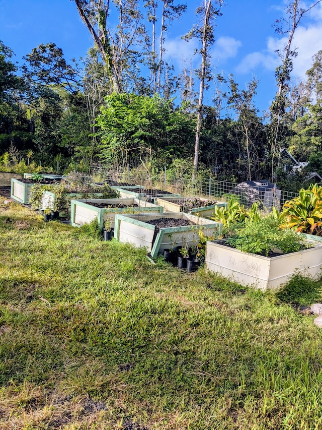 Hilo St, Pahoa, HI 96778