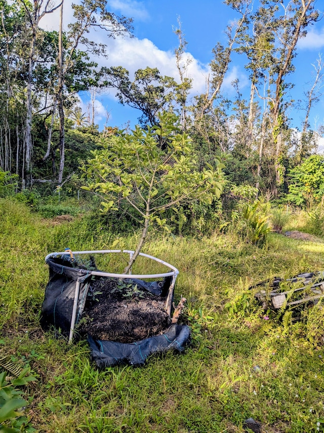 Hilo St, Pahoa, HI 96778