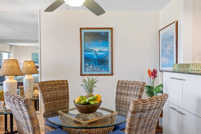 1763 Pee Rd Unit 304, Koloa, HI 96756 - living area featuring a ceiling fan