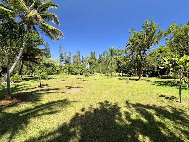 29-3707 Kanna Rd, Hakalau, HI 96710 - photo 9