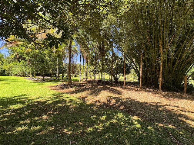 29-3707 Kanna Rd, Hakalau, HI 96710 - photo 7