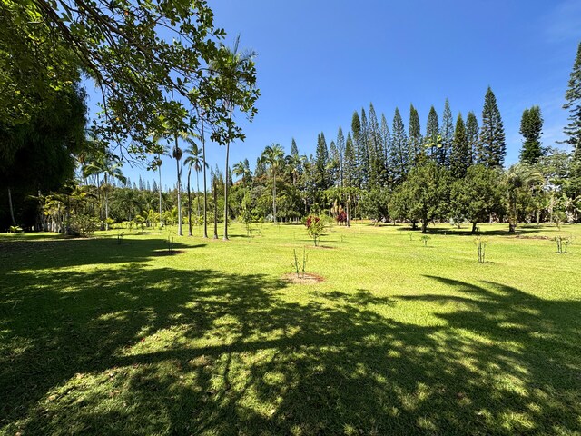 29-3707 Kanna Rd, Hakalau, HI 96710 - photo 12