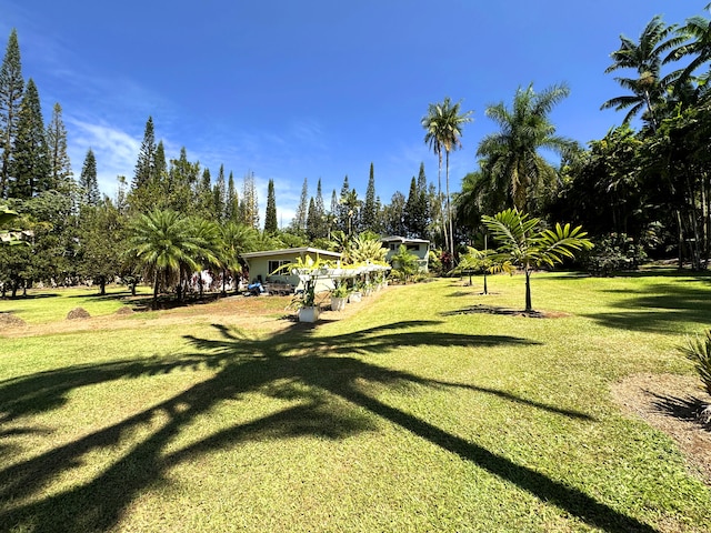 29-3707 Kanna Rd, Hakalau, HI 96710 - photo 1