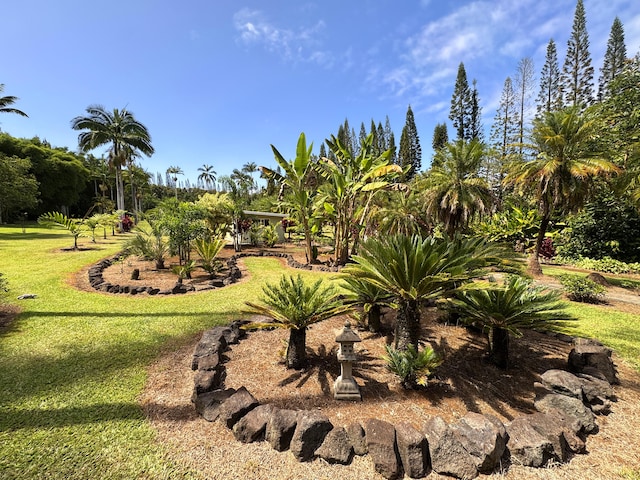 29-3707 Kanna Rd, Hakalau, HI 96710 - photo 6
