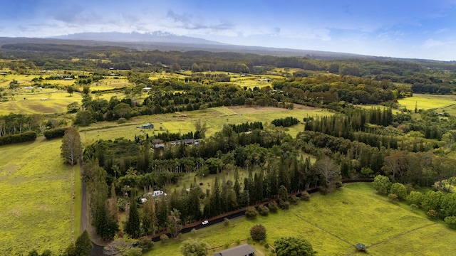 29-3707 Kanna Rd, Hakalau, HI 96710 - photo 29