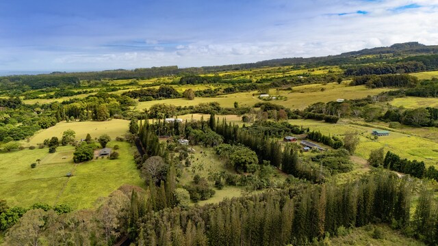29-3707 Kanna Rd, Hakalau, HI 96710 - photo 30
