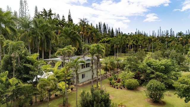 29-3707 Kanna Rd, Hakalau, HI 96710 - photo 2
