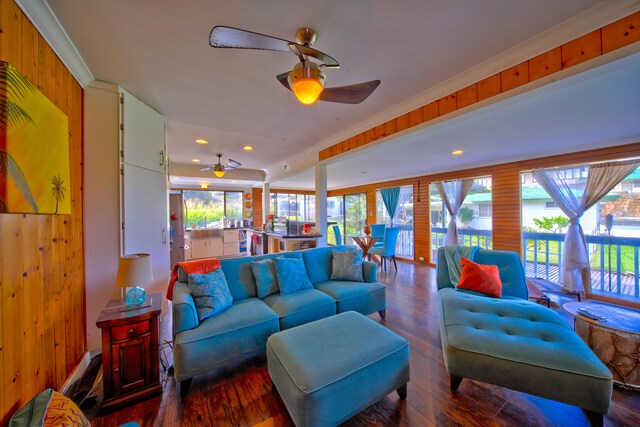 45-3321 Mamane St, Honokaa, HI 96727 - photo 8