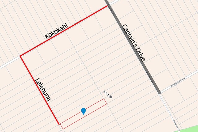 Lelehuna Rd, Volcano, HI 96785 - photo 6