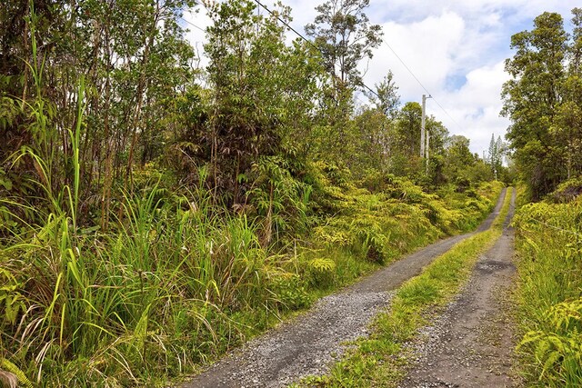 Lelehuna Rd, Volcano, HI 96785 - photo 4