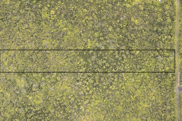 Lelehuna Rd, Volcano, HI 96785 - photo 7