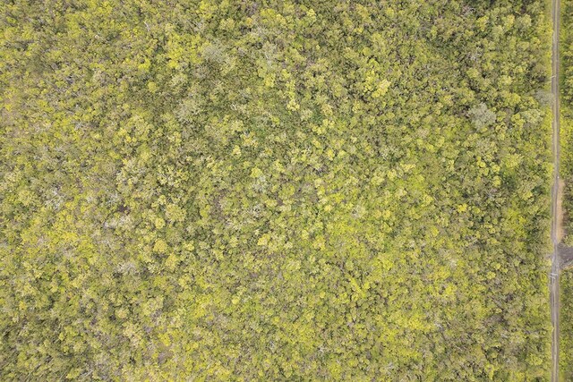 Lelehuna Rd, Volcano, HI 96785 - photo 9