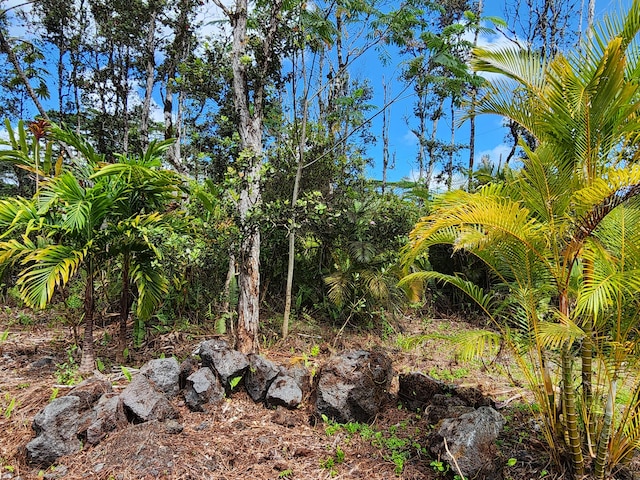 Kona Rd, Pahoa, HI 96778