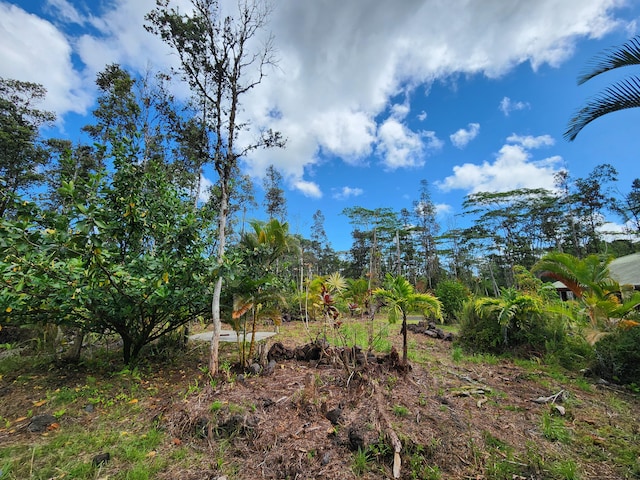 Kona Rd, Pahoa, HI 96778