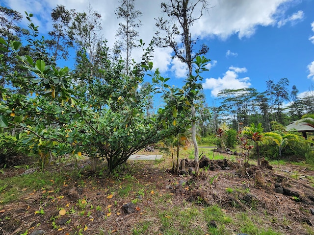 Kona Rd, Pahoa, HI 96778