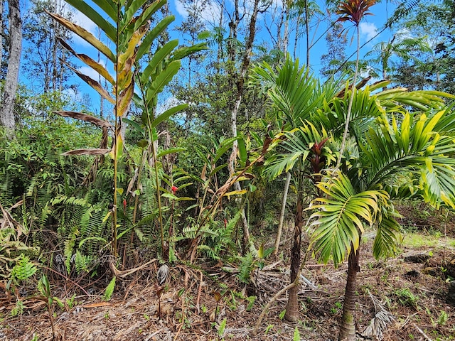 Kona Rd, Pahoa, HI 96778