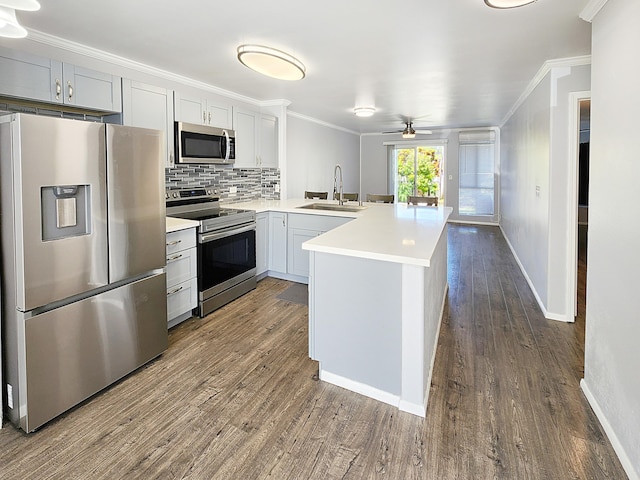 75-6081 Alii Dr Unit Dd102, Kailua-Kona, HI 96740 - kitchen featuring stainless steel appliances, a sink, a peninsula, ornamental molding, and a ceiling fan