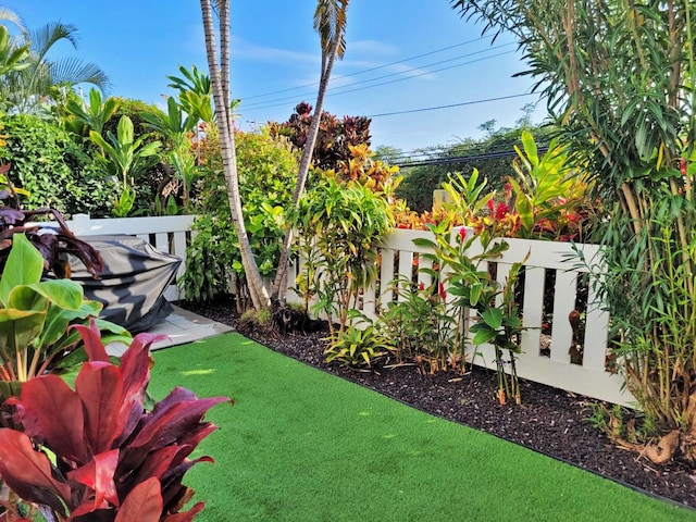 75-6081 Alii Dr Unit Dd102, Kailua-Kona, HI 96740 - view of yard