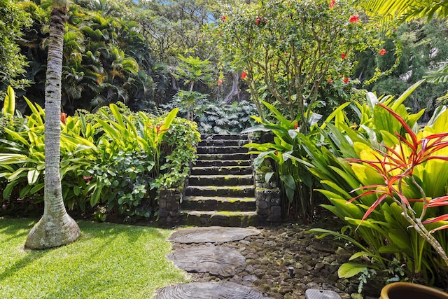 78-6737 Walua Rd, Kailua-Kona, HI 96740 - view of grassy yard