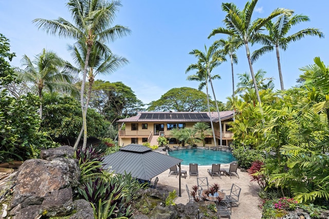 78-6737 Walua Rd, Kailua-Kona, HI 96740 - swimming pool featuring a patio area