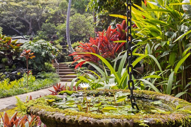 78-6737 Walua Rd, Kailua-Kona, HI 96740 - exterior view of a garden pond