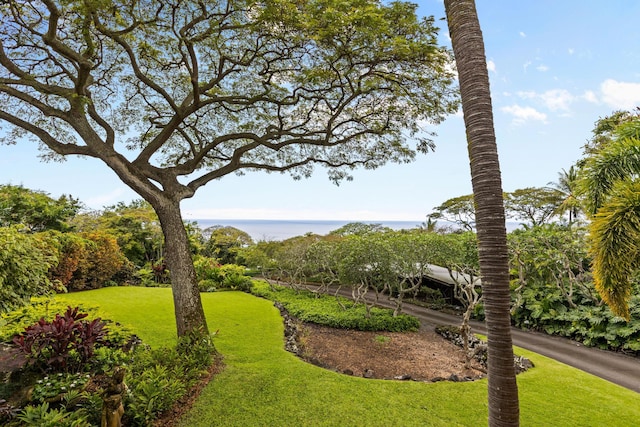 78-6737 Walua Rd, Kailua-Kona, HI 96740 - view of home's community with a yard and a water view