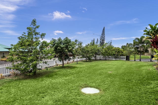 76-6347 Kupuna St, Kailua-Kona, HI 96740 - view of yard