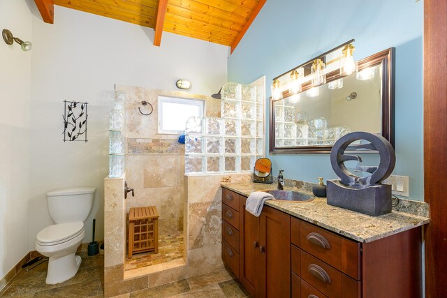 76-6319 Leone St, Kailua-Kona, HI 96740 - bathroom featuring wood ceiling, vanity, walk in shower, and toilet