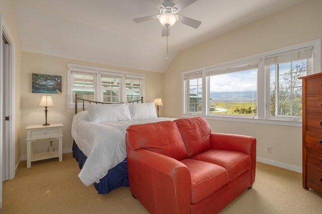 67-5031 Yutaka Pen Pl Unit 31, Kamuela, HI 96743 - photo 10
