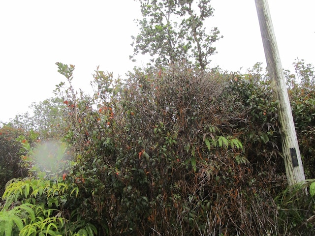 Manini Cir, Mountain View, HI 96771