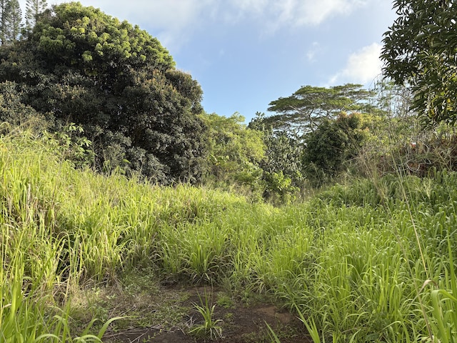 Omao Rd, Koloa, HI 96756