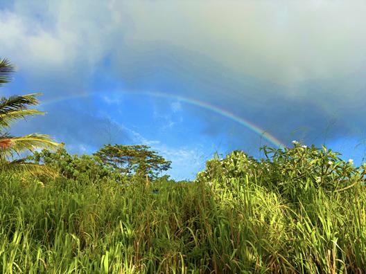Omao Rd, Koloa, HI 96756