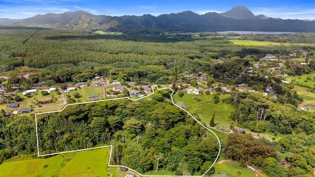 Omao Rd, Koloa, HI 96756