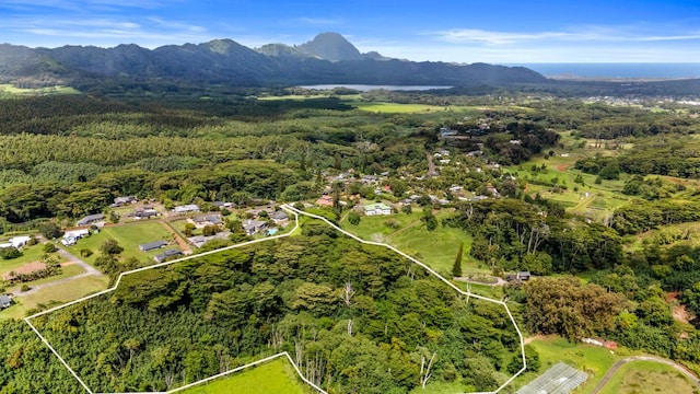 Omao Rd, Koloa, HI 96756