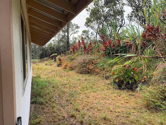 11-3258 Pa Alii St, Volcano, HI 96785 - view of yard