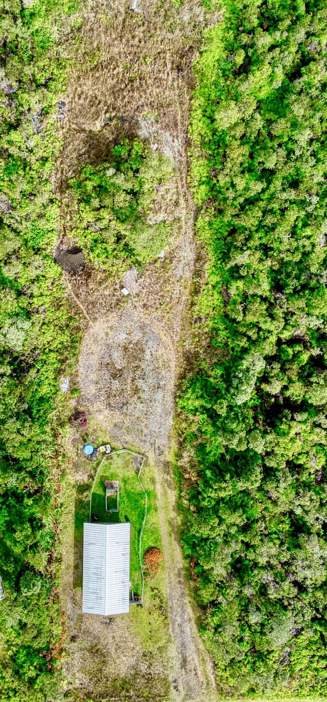 11-3258 Pa Alii St, Volcano, HI 96785 - bird's eye view