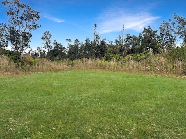11-3258 Pa Alii St, Volcano, HI 96785 - view of yard