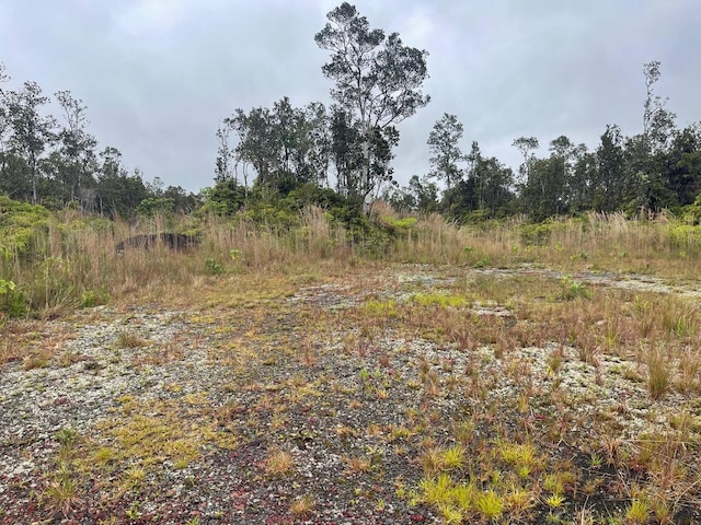 11-3258 Pa Alii St, Volcano, HI 96785 - view of nature