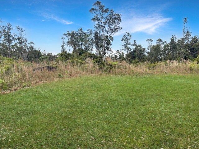 11-3258 Pa Alii St, Volcano, HI 96785 - view of yard