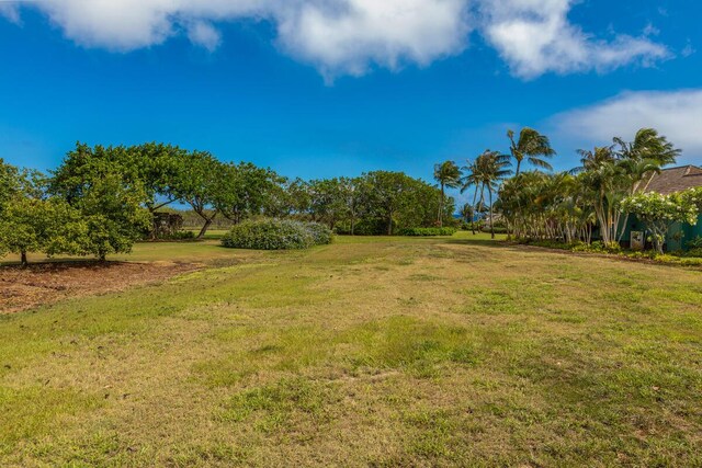 Koloa, HI 96756 - photo 5
