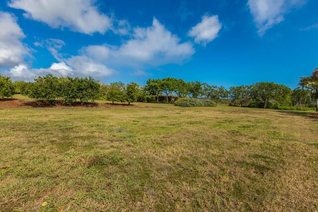 Koloa, HI 96756 - photo 6