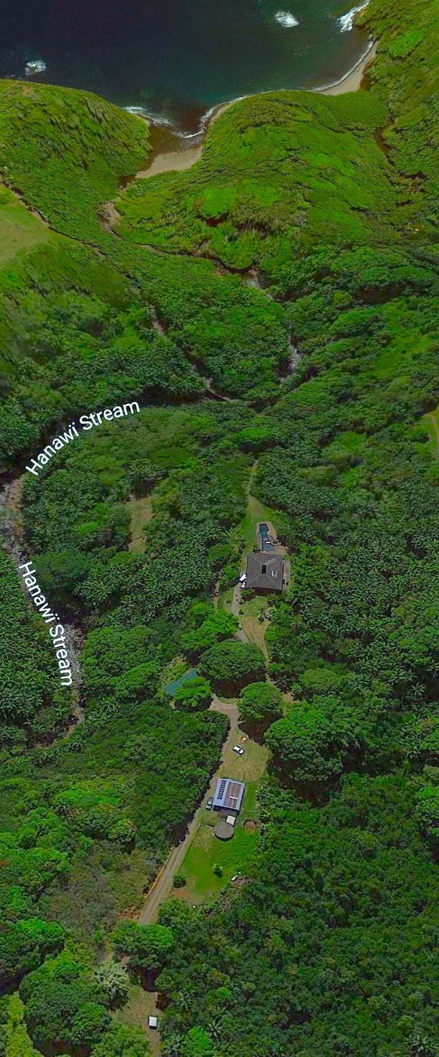 27-577 Old Mamalahoa Hwy Unit 2, Papaikou, HI 96781 - aerial view of property's location