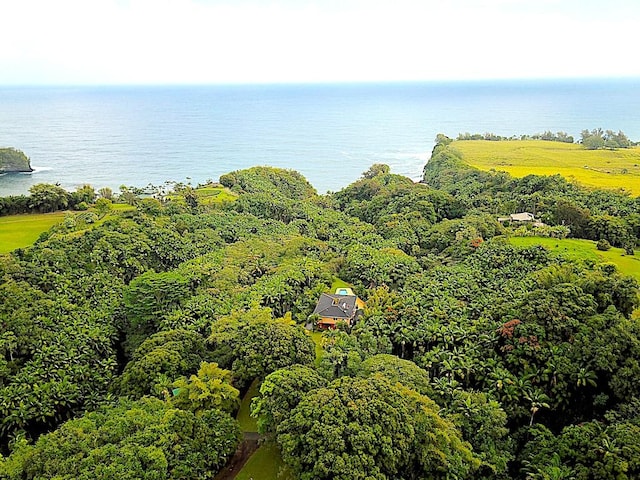 27-577 Old Mamalahoa Hwy Unit 2, Papaikou, HI 96781 - drone / aerial view of a nearby body of water