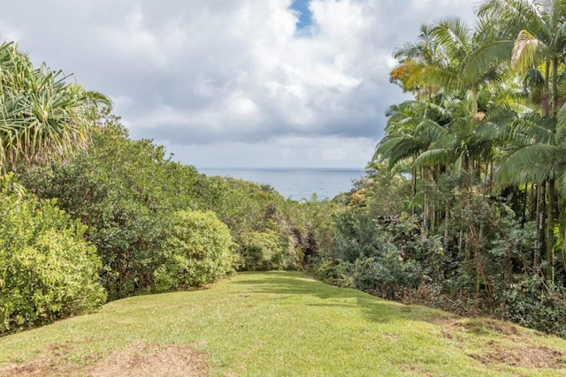 27-577 Old Mamalahoa Hwy Unit 2, Papaikou, HI 96781 - view of grassy yard featuring a water view